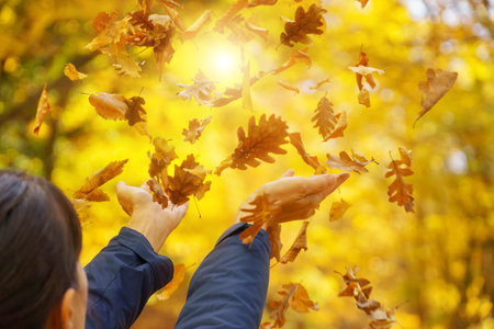 Female hands try to catch falling autumn leaves. Emotional scene.の写真素材