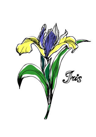 Perfect for Postcard, Interior decoration. Flowers gift Poster, Print, Flyer and Cards of Happy Mothers Day.のイラスト素材