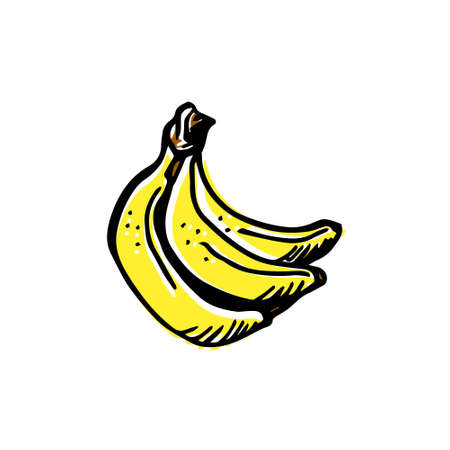 Vector Sketch Isolated on White Background. Banana Bunch Hand drawn iIlustration. Doodle style.のイラスト素材