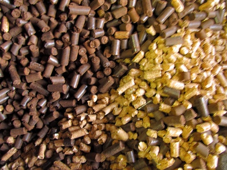 wood pellet biomass and lignocellulose light color brown as fuelの写真素材