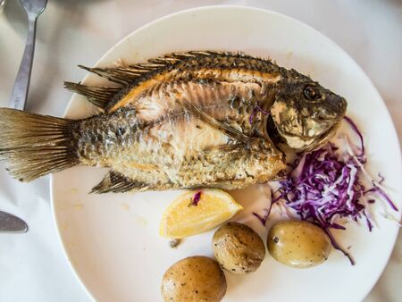 Traditional fish St. Peter of Galilee, Israelの写真素材