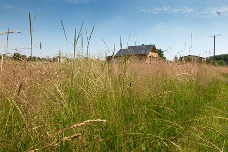 meadow with tall grass around a wooden houseの写真素材