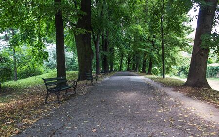 empty benches at the alley in the old park