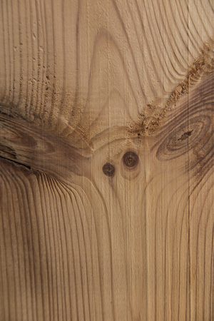 fragment of the pine board with evident jarfuls as the background