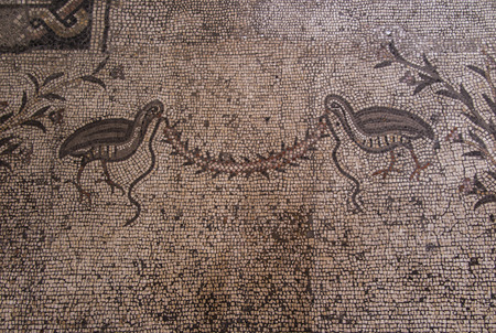 TABGHA, ISRAEL - Juli 9: Ancient mosaic. Church of the Multiplication of the Loaves and the Fishes, Tabgha, Israel, Juli 14, 2015.のeditorial素材