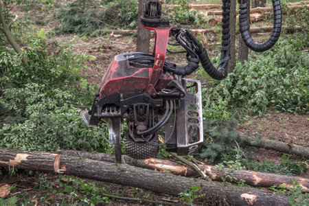 forestry harvester during a job among trees in the forestの写真素材