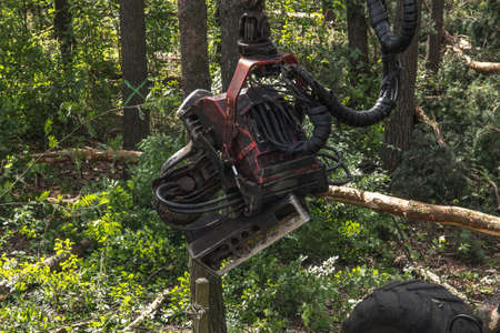 forestry harvester during a job among trees in the forestの写真素材