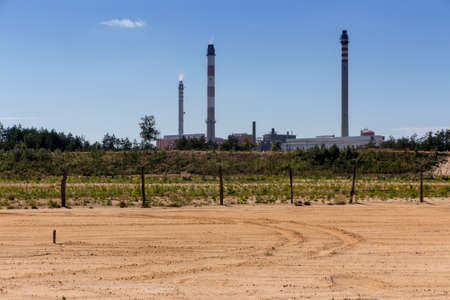 partial afforestation of the former sand mine, planted with pine seedlings, in the background a zinc...
