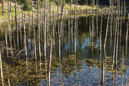 ponds at the site of the flooded iron mine Pasieki in Miasteczko Slaskie in Silesia, Poland
