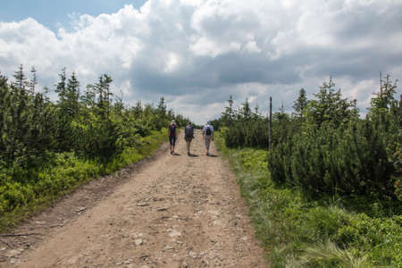 Skrzyczne, Poland, July 04, 2020: Hiking along a mountain trail in the Silesian Beskids (Poland) near the Skrzyczne peakのeditorial素材