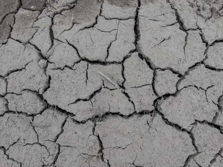 A fragment of the muddy surface of the earth cracked by drought as a background