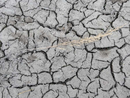 A fragment of the muddy surface of the earth cracked by drought as a backgroundの写真素材
