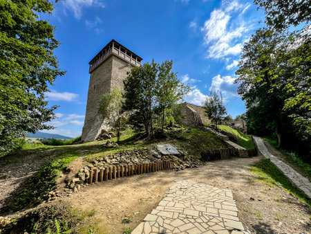 Ruins of the castle in Muszyna in Poland.の写真素材