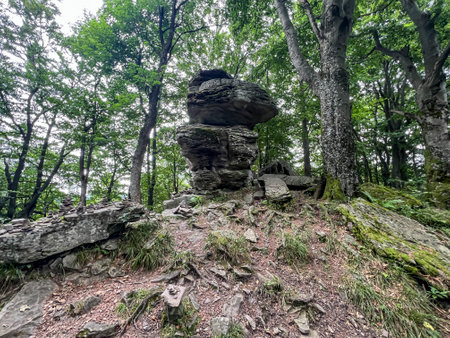Inanimate nature monument Devil's Stone on the eastern slope of Jaworzyna Krynicka near the red and...