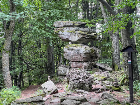 Inanimate nature monument Devil's Stone on the eastern slope of Jaworzyna Krynicka near the red and...