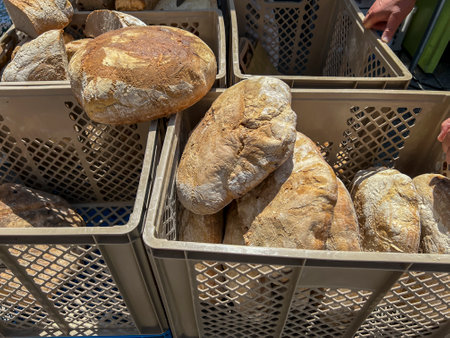 Loaves of bread lying in plastic crates ready to be cut, tasted and sold.