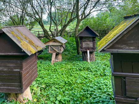 Old-style beehives in the surroundings of the ruins of the castle in Chudow, Poland.の写真素材