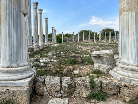Salamis - an ancient city and port located in Cyprus, in the 7th century BC the main city of the island. Currently in the Turkish part of the island, near Famagusta (Tur. GazimaÄusa).の写真素材