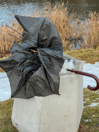 A broken old black umbrella thrown into a trash can.の写真素材
