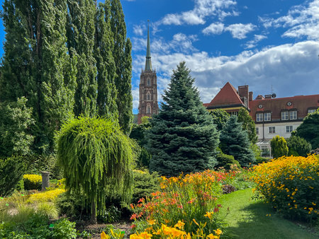 The tower of the Cathedral of St. John the Baptist on Ostrow Tumski in Wroclaw, Poland, visible from the botanical garden.の写真素材