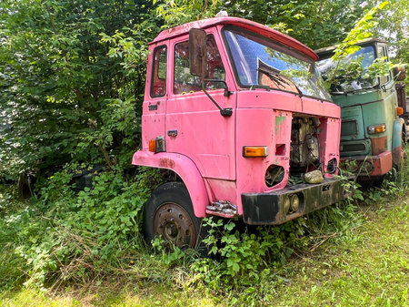 Old trucks abandoned in the bushes are turning into scrap metal.の写真素材