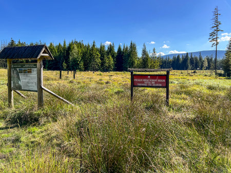 Duszniki Zdroj, Poland, September 3, 2026: "Torfowisko pod Zielencem" Nature Reserve, Duszniki Zdroj, Poland.のeditorial素材
