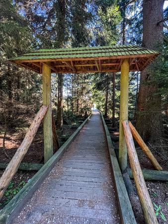 Duszniki Zdroj, Poland, September 3, 2026: "Torfowisko pod Zielencem" Nature Reserve, Duszniki Zdroj, Poland.のeditorial素材