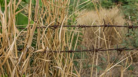 barbed wire on concrete stick fenceの写真素材