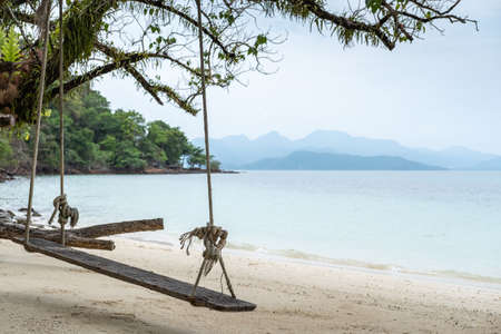 Old swing hanging on a tree on sandy beach, blue sea and sky background.の写真素材