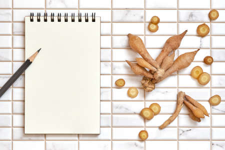 Fingerroot, Kaempfer with Open Blank Spiral Notebook and pencil on White Tile Background, Flat Lay Concept, Copy Space for Text.の写真素材