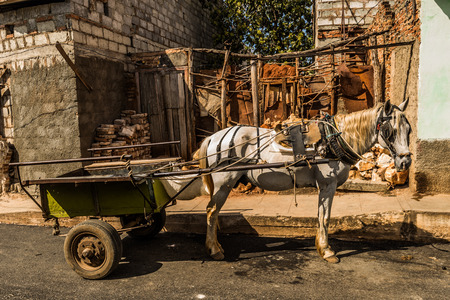 Horse and Cart in Trinidad, Cubaのeditorial素材