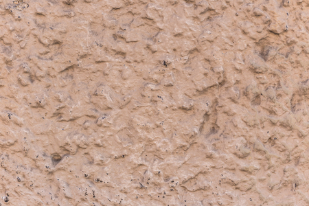 Wall Texture, Romeの写真素材