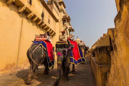 November 04, 2014: Elephants at the entrance to the Amber palace in Jaipur, Indiaのeditorial素材