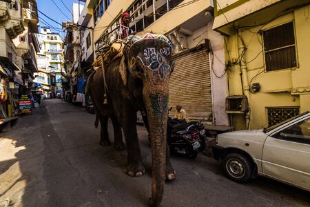 November 07, 2014: An elephant in the old town of Udaipur, Indiaのeditorial素材