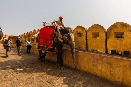 November 04, 2014: Elephants at the entrance to the Amber palace in Jaipur, Indiaのeditorial素材