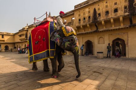 November 04, 2014: Elephant at the Amber palace in Jaipur, Indiaのeditorial素材