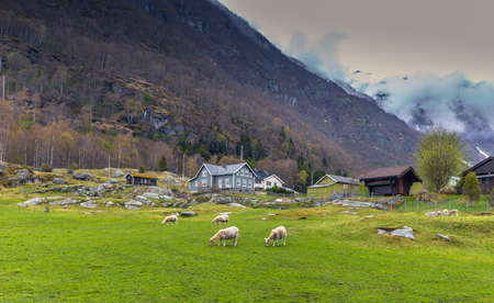Borgund, Norway - May 14, 2017: Houses in the village of Borgund in Laerdal, Norwayのeditorial素材