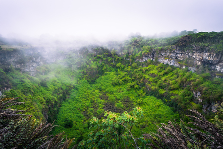 Galapagos Islands - July 22, 2017: Volcanic crater of Santa Cruz Islandのeditorial素材