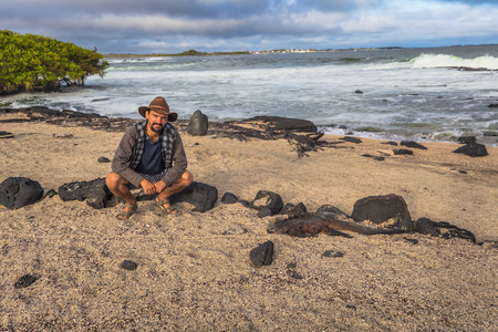 Galapagos Islands - August 25, 2017: Marine Iguanas on a beach in Isabela Island, Galapagos Islands, Ecuadorのeditorial素材