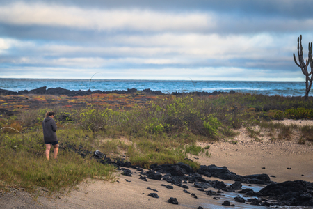 Galapagos Islands - August 25, 2017: Beach coast of Isabela Island, Galapagos Islands, Ecuadorのeditorial素材