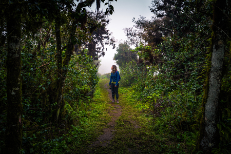 Galapagos Islands - July 22, 2017: Wilderness of inner Santa Cruz Islandのeditorial素材