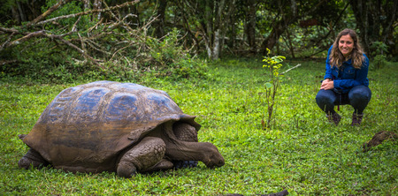 Galapagos Islands - July 22, 2017: Traveler with Giant Tortoise in the El Chato reserve of Santa Cruz Islandのeditorial素材