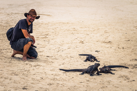 Galapagos Islands - August 23, 2017: Marine Iguanas in Tortuga Bay in Santa Cruz Island, Galapagos Islands, Ecuadorのeditorial素材
