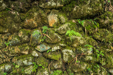 Texture of Inca wall on the Inca Trail, Peruの写真素材