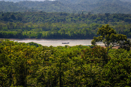 Manu National Park, Peru - August 10, 2017: Landscape of the Amazon rainforest of Manu National Park, Peruのeditorial素材