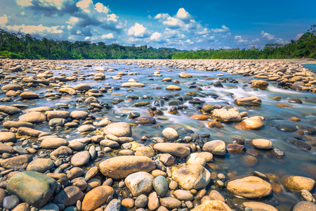 Landscape of the Amazon rainforest of Manu National Park, Peruの写真素材