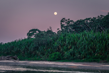Manu National Park, Peru - August 06, 2017: Nightfall at the shores of the Amazon rainforest of Manu National Park, Peruのeditorial素材