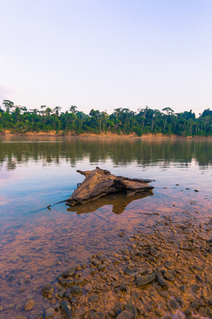 Landscape of the Amazon rainforest of Manu National Park, Peruの写真素材