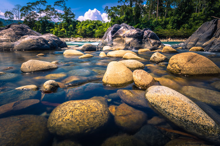 Manu National Park, Peru - August 11, 2017: Landscape of the Amazon rainforest of Manu National Park, Peruのeditorial素材