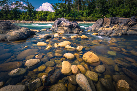 Landscape of the Amazon rainforest of Manu National Park, Peruの写真素材